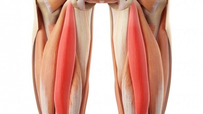 Hamstring Muscles Strain : Assessment & Risk Factors – Proactive Physio ...